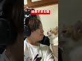 猫はこんなに凶暴です!!飼いたい人は注意です!!(怒)#shorts #猫 #虎徹 #猫好きさんと繋がりたい