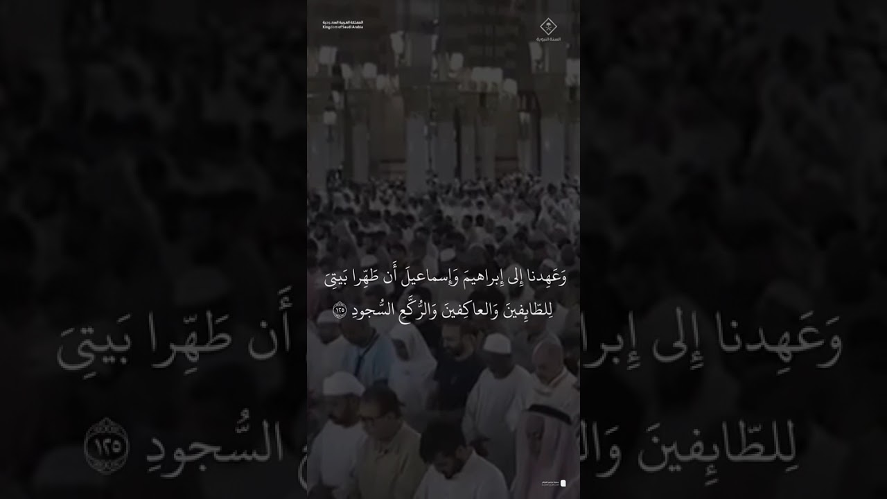 مقتطف من تلاوة الشيخ #عبدالله_القرافي من فجرية 8 ذو الحجة 1446هـ