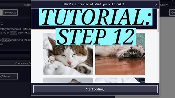 freeCodeCamp | CSS Flexbox Photo Gallery Tutorial: Step 12
