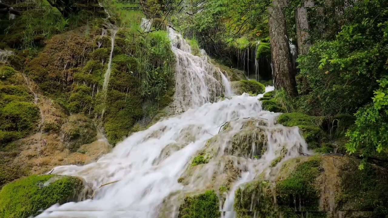 Relaxing Zen Water Ambience 🌿 | Calm Mind & Deep Relaxation