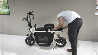 Yidi High Speed Lithium Battery Electric Bicycle With A Large Detachable Pet Box.