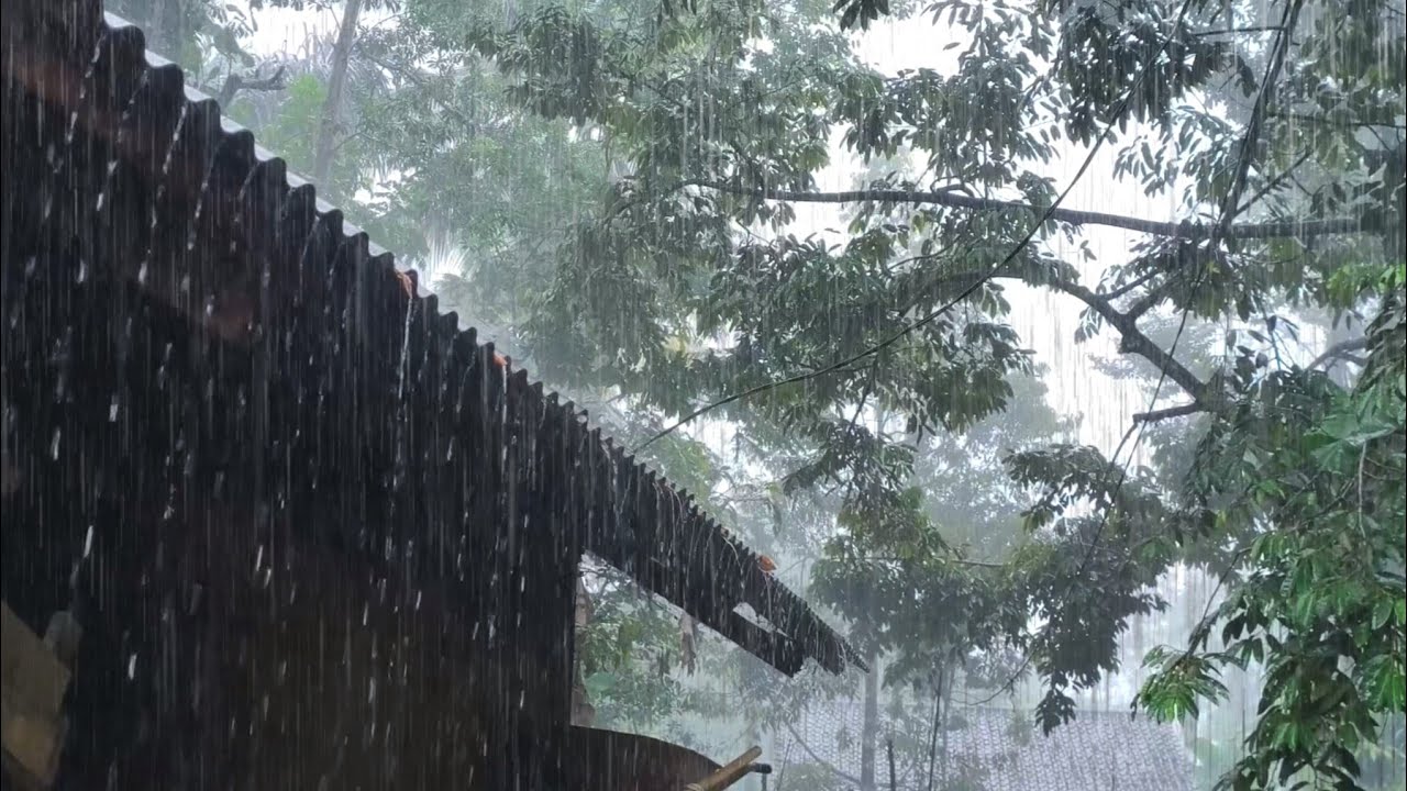 Best Heavy Rain Sounds Ever 🌧️ Super Heavy Rain for Deep Sleep, Insomnia Relief, Relax