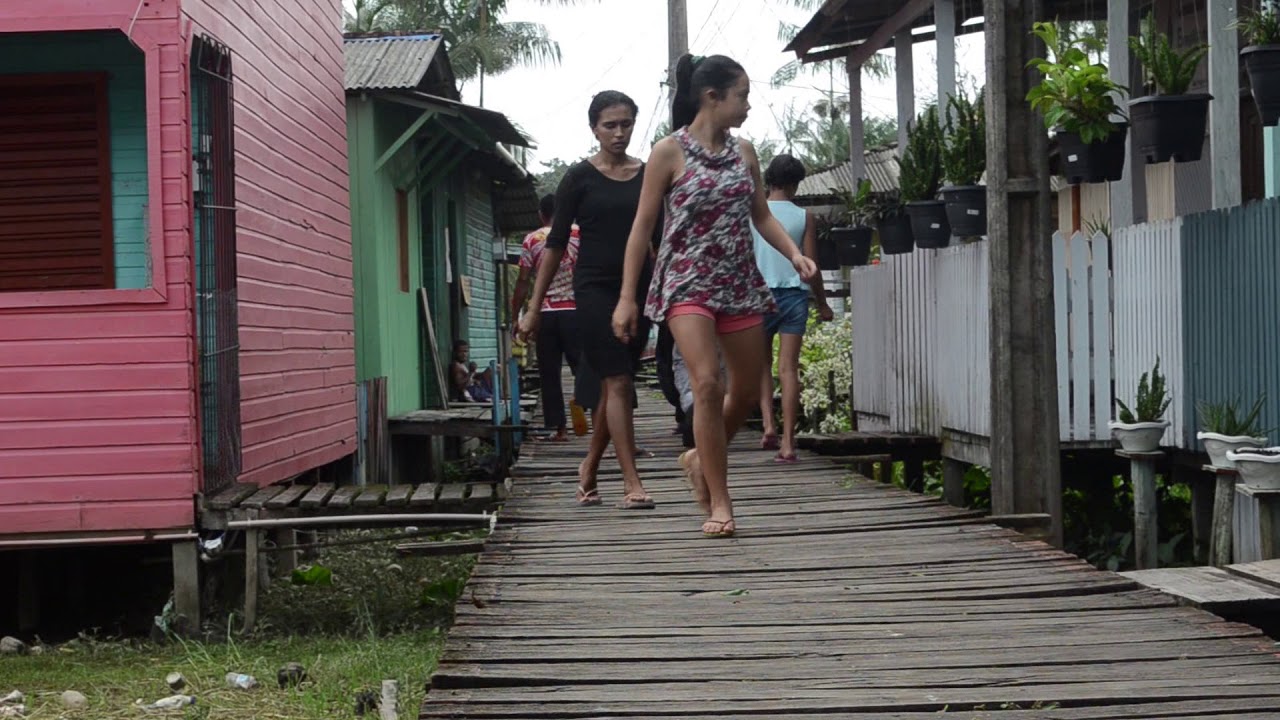 Fenômeno das Terras Caídas | Arquipélago do Bailique | Amapá | Rafael Pontes
