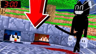 Jamais Cartoon Cat Ne Nous Trouvera Dans Cette Cachette Avec Talcado Sur Minecraft
