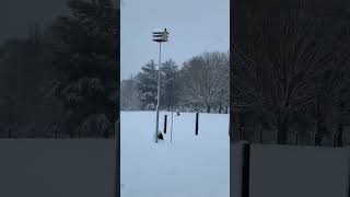 Winter ❄️ storm in Kentucky #snow
