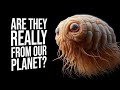 The Most Unusual Creatures In The World | The Museum of Terrestrial Life
