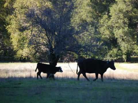 Natalie and Sophia go hiking in Briones Park
