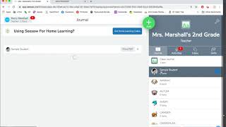 Basic Seesaw For Teachers