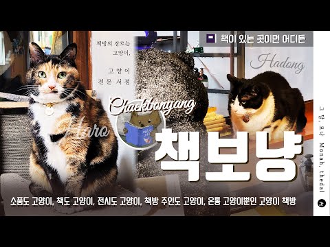 Chaekbonyang
