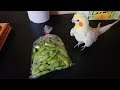 夏は いいちこと枝豆！