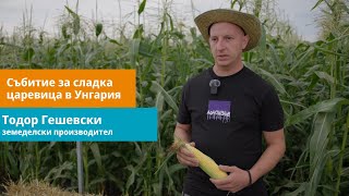 Oткрит ден за сладка царевица - какво споделя Тодор Гешевски