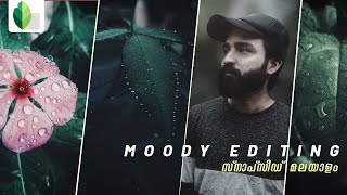 How to edit MOODY DARK photos using Snapseed