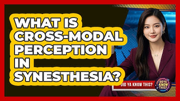 What Is Cross-modal Perception In Synesthesia? - Did Ya Know This