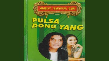 Pulsa Dong Yang