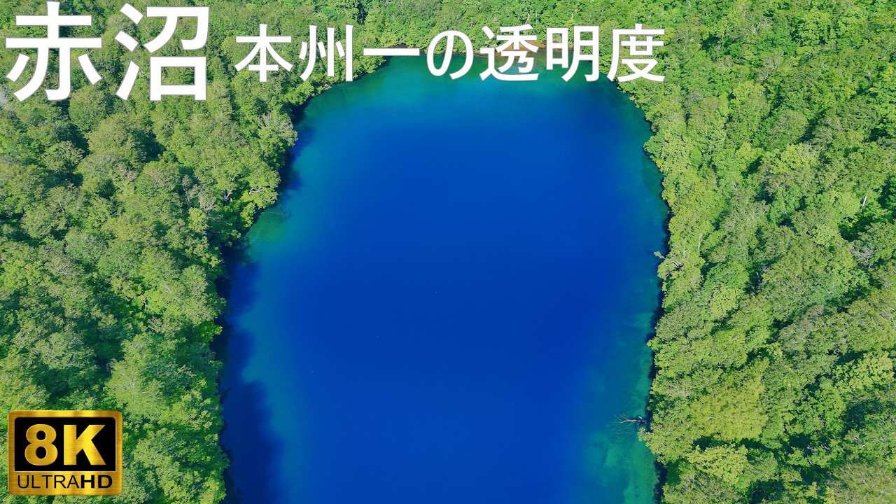赤沼】全国1位の透明度？ 青池より青い赤沼の絶景【青森県十和田市】8K