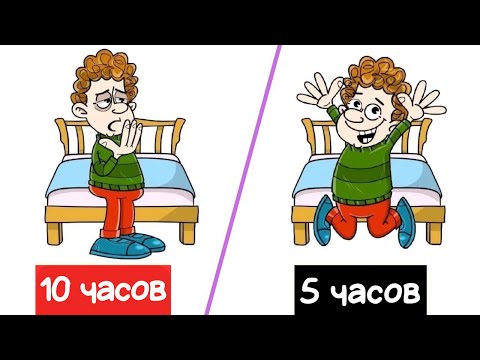 Опасная ложь о сне: ЗАЧЕМ МЫ СПИМ – Мэттью Уолкер (краткое изложение книги)