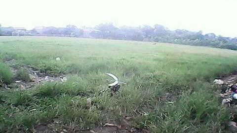 HK250 with ASSAN GA250 Mod Gyro