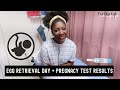 Our IVF Journey Part 2 | Egg Retrieval + Pregnancy Test Results