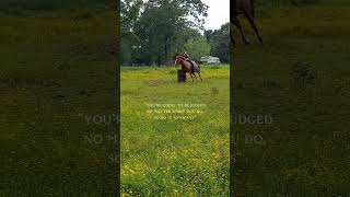 do it anyways.#barrelracing #country #fypシ #cowgirl #doit #viralshorts #equestrian #horse #rodeo