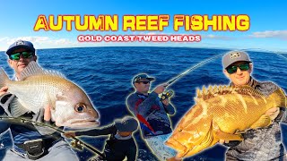 Cod, Snapper, Pearlie’s, Jew… It’s all happening!! Reef Fishing with the boys - SEQ Northern NSW