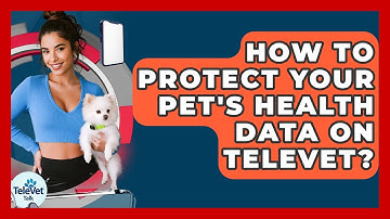 How To Protect Your Pet