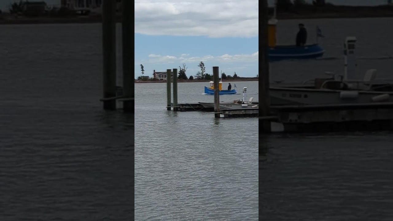 AWOOGA out in the harbor throwing a wake