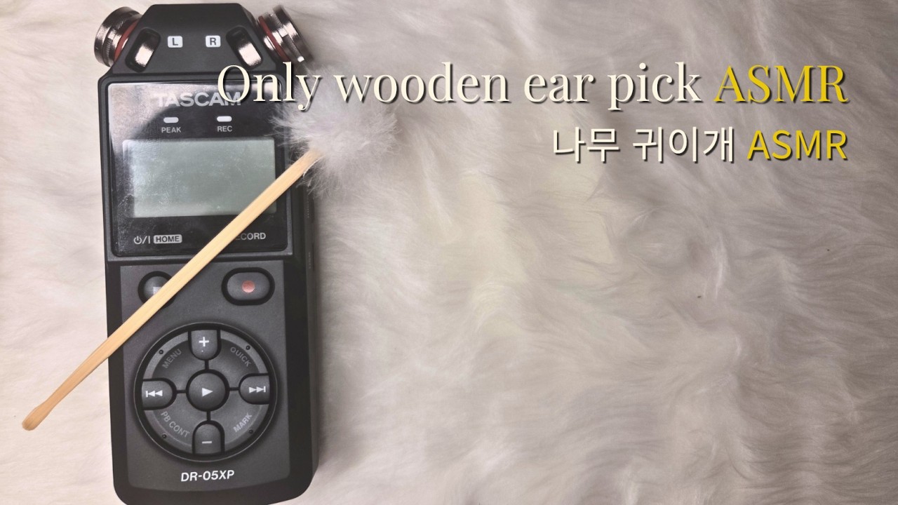 [ASMR] 부드럽게 사각사각... 나무귀이개 귀청소 소리 | 노토킹