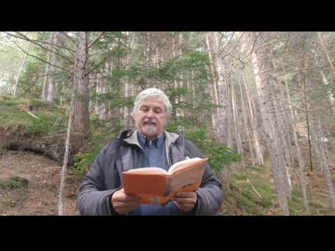 P. Culatti - lettura di un brano tratto dal libro \