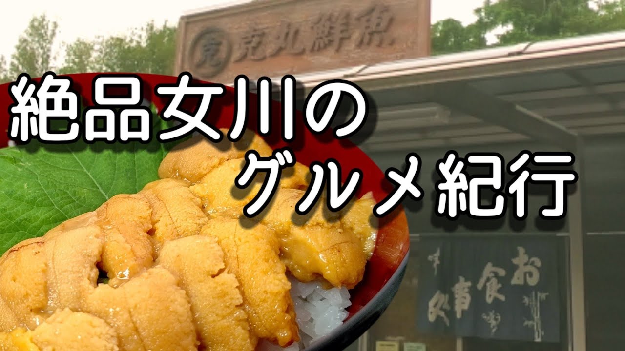 【㊗️1万回再生突破❗】お魚屋さんが、経営してる絶品グルメな海鮮丼ツアー(宮城県、女川おながわ)克丸鮮魚店の隠れ家的な新鮮な定食メニューを堪能。
