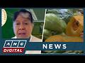 Pangilinan opposes importation of carrots: We have supply, it's supply chain problem | ANC