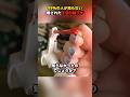99％の人が知らない隠された生活の裏ワザ #ショート #ライフハック #shorts