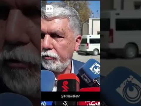 واکنش وزیر ارشاد به حواشی بازداشت بازیگر مشهور