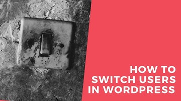 How To Switch Users in WordPress