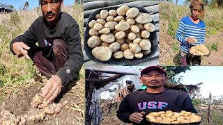 Result about potato 🥔🥔.@Wangbapkonyak 