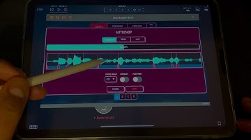 Sample from Radio Stations using Radio Unit Audio Unit AUV3