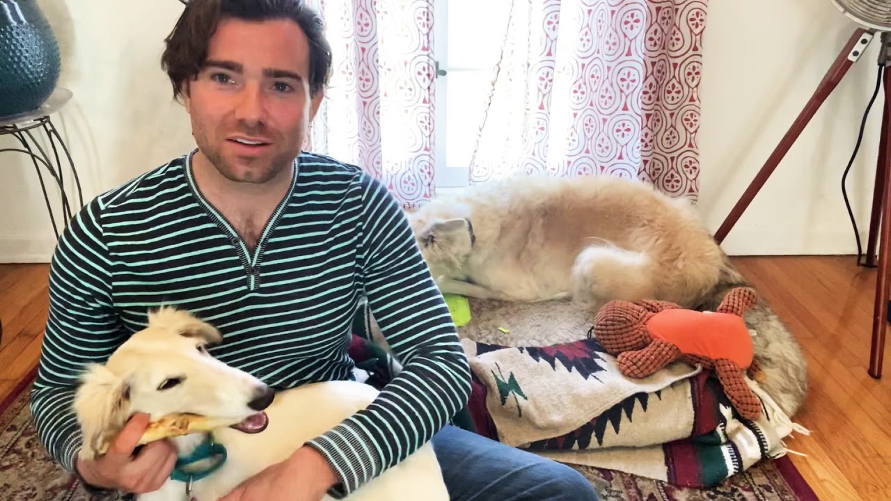 Эпизод 13 - Содержание борзой - Различия между полами