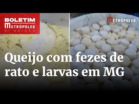 Fezes de rato e larvas: polícia apreende 11 toneladas de queijo | Boletim Metrópoles 2º