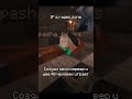Создал анархию, го играть 🔥 IP: s.rages.zone #gaming #майнкрафт #майнкрафтанархия #minecraft