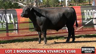 LOT 2 NGM24V168
