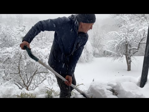 Видео: ВЛОГ: Нас завалило снігом. Світла і мобільного звʼязку нема, дороги замело. Заручники ситуації.