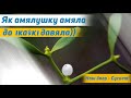 Дубовая ягада: Амяла белая – Што такое амяла? | Наш двор сусвет – Добры канал