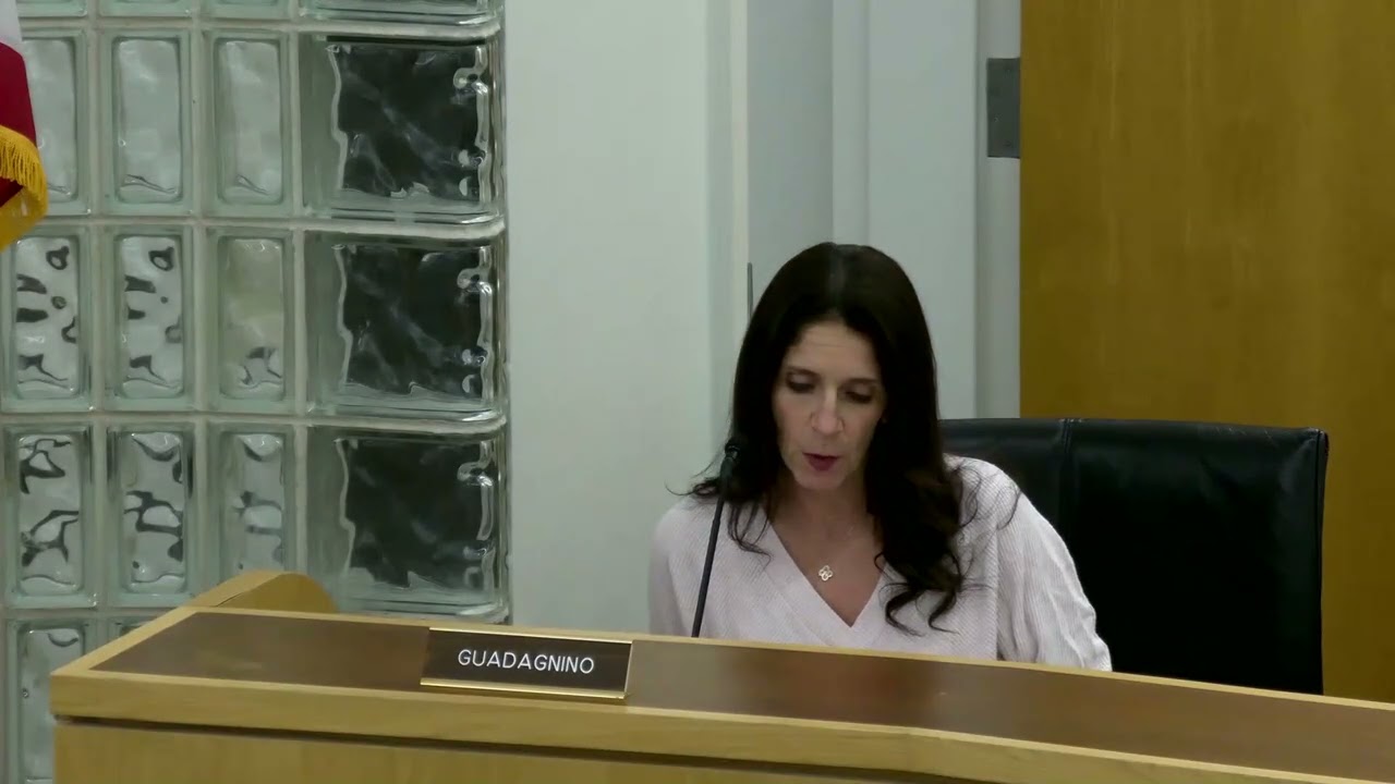 Заседание совета поселка Норт-Брансуик - 12.01.2026