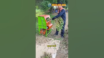 Máy Tuốt Lạc - Máy Tuốt Đậu Phộng Siêu Năng Suất Bình Quân Group