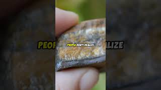 Tigers Eye The Stone Of Courage And Wealth