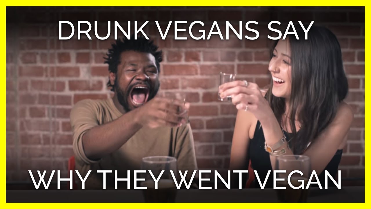 vegan recipes easy Vegans Get Drunk And Say Why They Went Vegan
