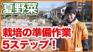 Five steps to follow before starting to grow summer vegetables! A