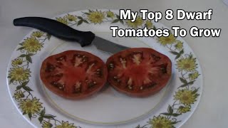 My 8 Top Dwarf Tomato Picks  Taste Tests Included