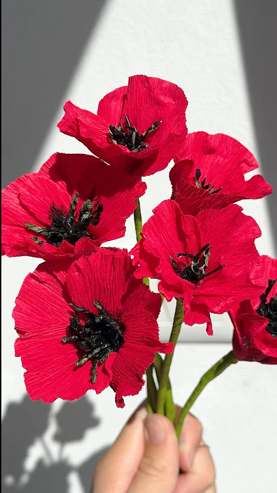 DIY cute paper flowers poppy flower Craft