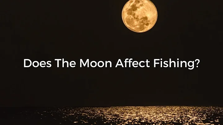 Does The Moon Phase Affect Fish Activity Levels?