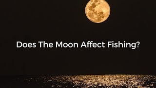 Does The Moon Phase Affect Fish Activity Levels?